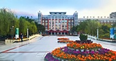 强大师资团队