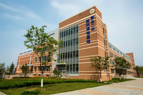 青岛盟诺学校