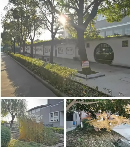 林荫小道.jpg