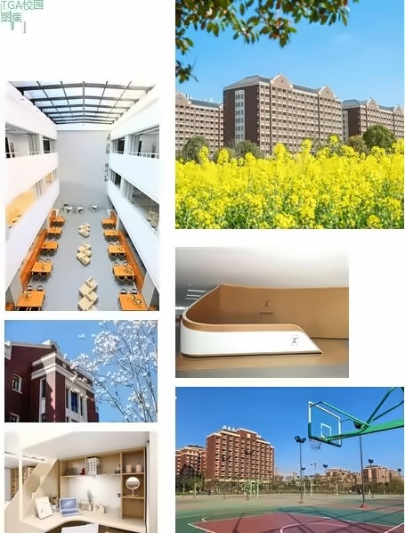 上海建桥国际高中.jpg