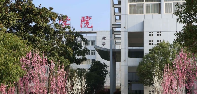 皖西卫生职业学院2019年单招录取分数线