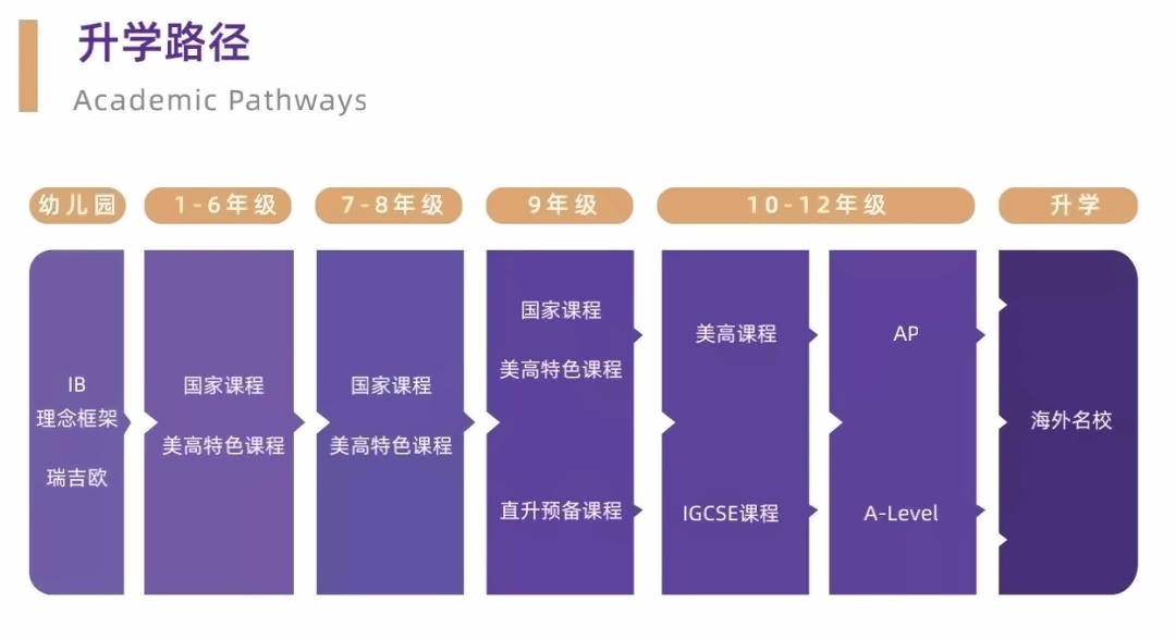 升学路径.jpg