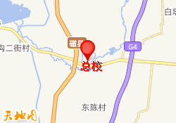 总校