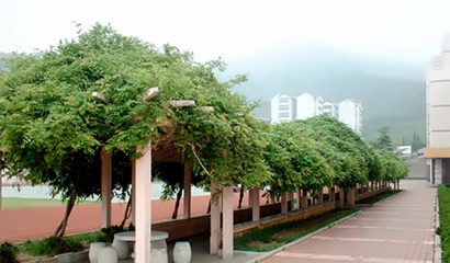 烟台市双语实验学校校园环境