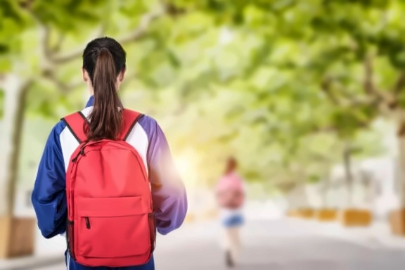 北京市朝阳区博雅学校开学报到流程