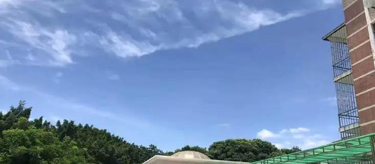 深圳康桥书院小学部2023年课程体系