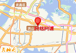 网络网课