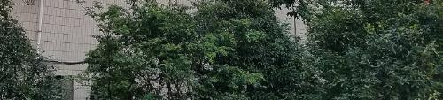 贵州航空工业技师学院白云校区