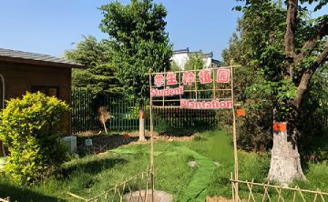 北京明诚外国语学校-洪堡学部德英初中复语班