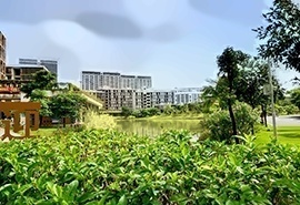 美加大学提升预科项目