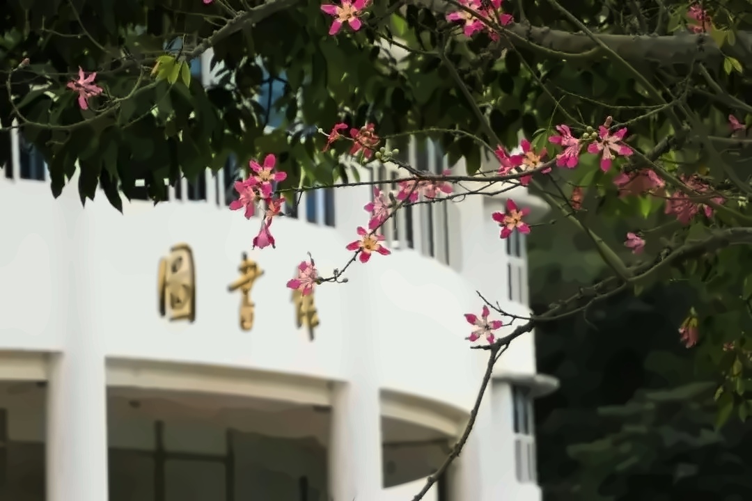 暨南大学校园一角