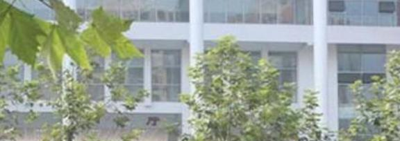 泸州树风职业高级中学怎么样、好不好