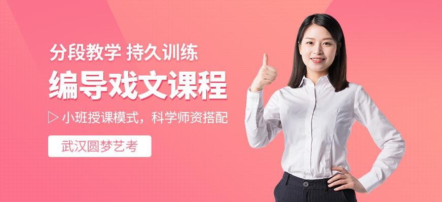 武汉圆梦艺考编导戏文培训