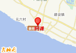 网课