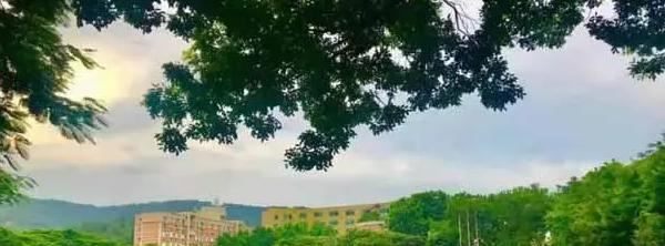 深圳康桥书院小学部2023年课程体系2