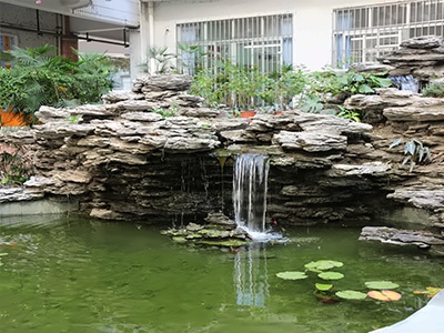 广东实验中学越秀学校校园环境