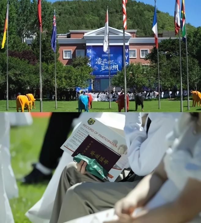 北京市私立汇佳学校活动