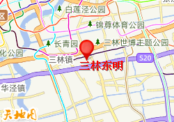 三林东明