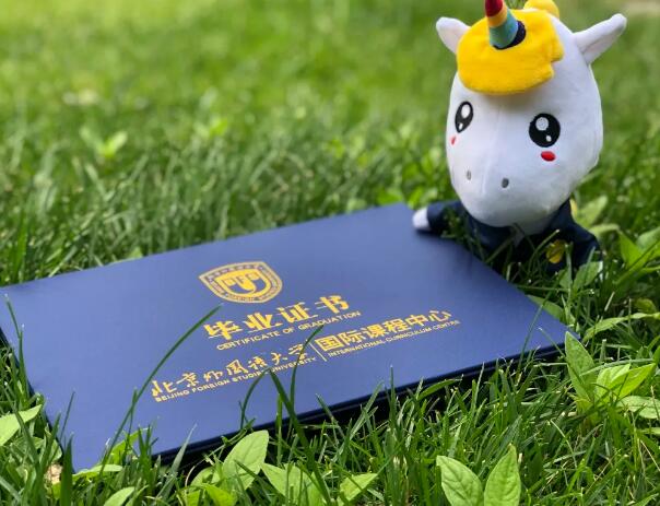 北外国际课程中心