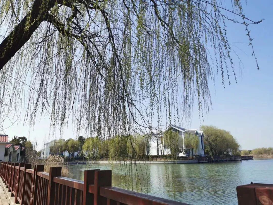 上海宏润博源学校  暑期GIA学分夏校