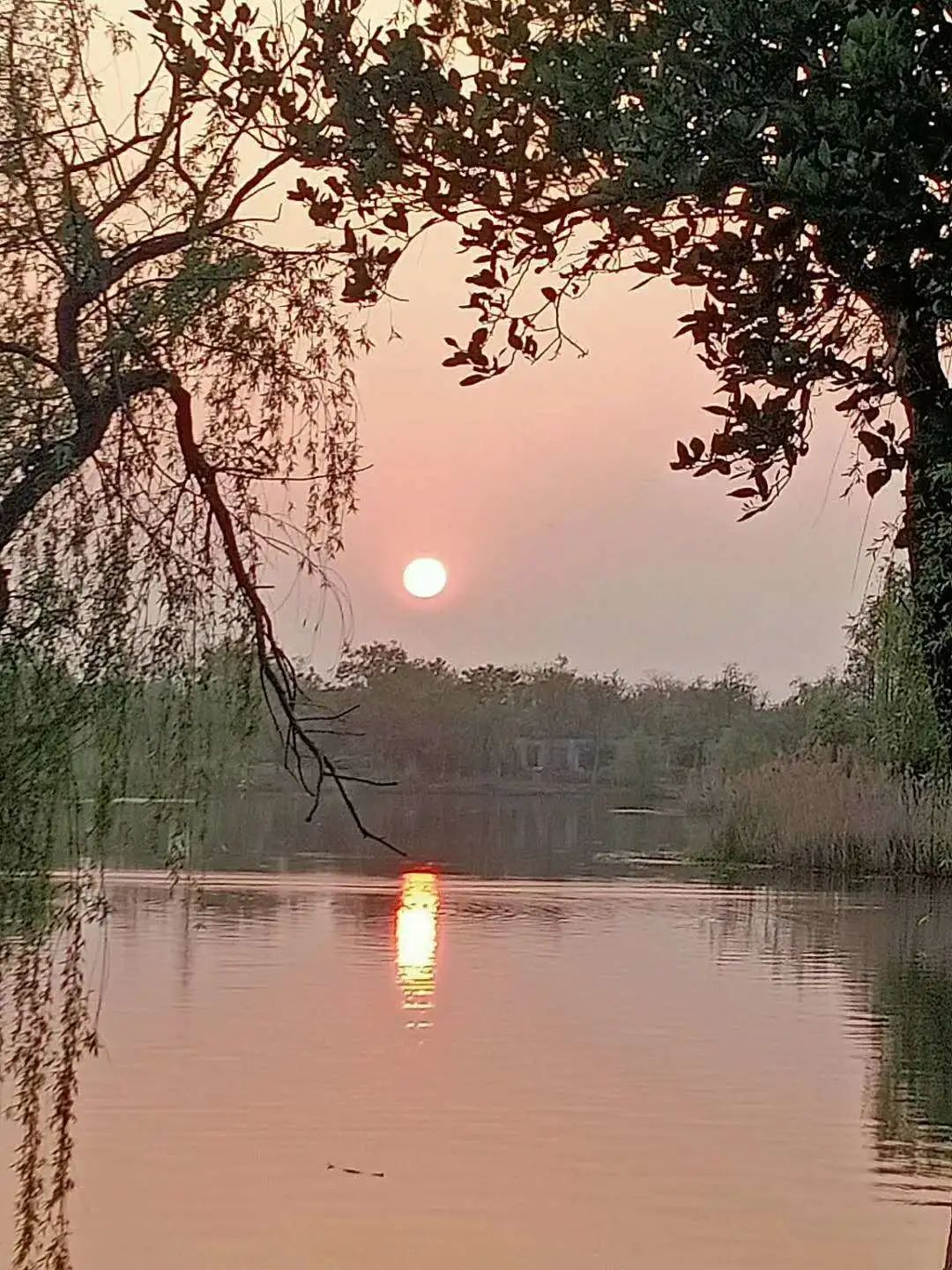 上海宏润博源学校  暑期GIA学分夏校