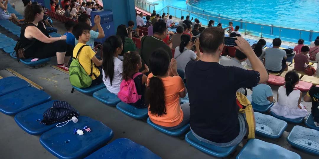 12_页面_03_图像_0001.jpg
