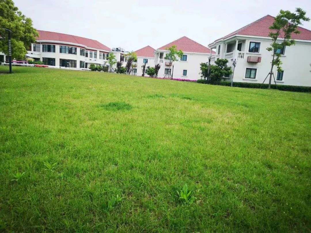上海宏润博源学校  暑期GIA学分夏校