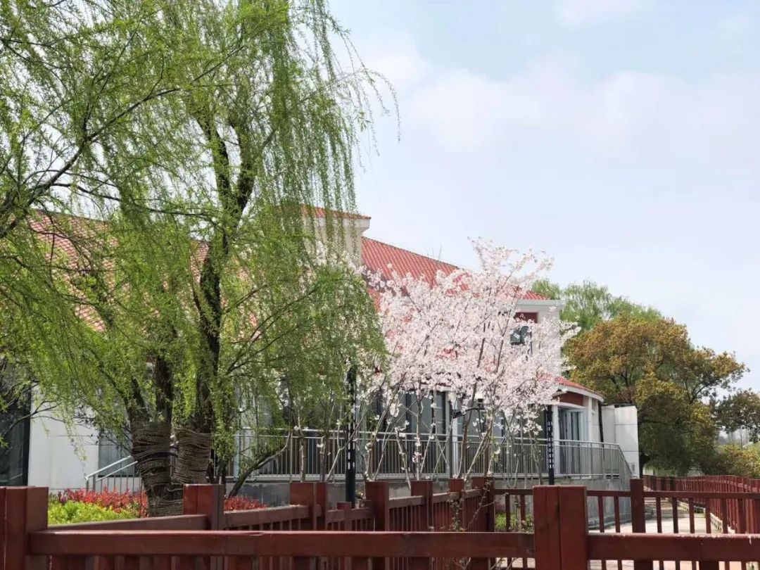 上海宏润博源学校  暑期GIA学分夏校