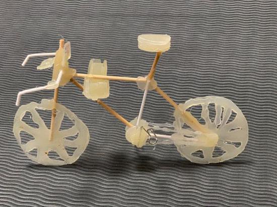 学生设计的“热胶自行车”