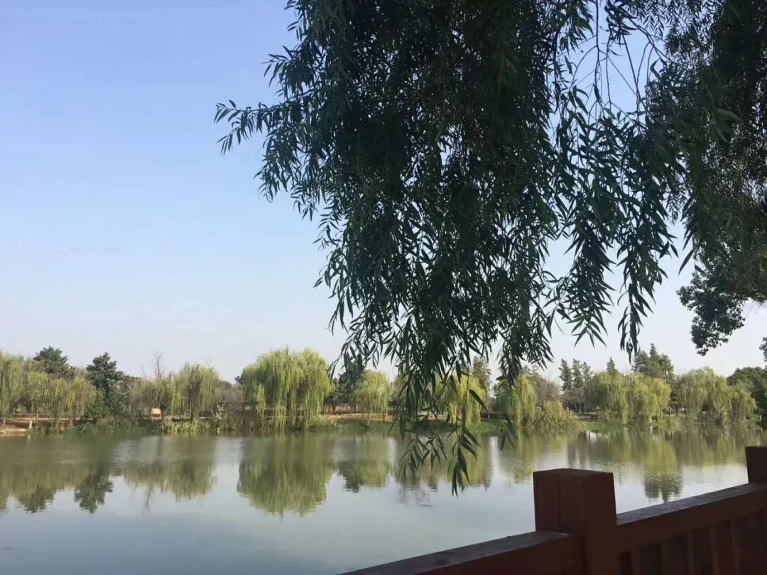 上海宏润博源学校  暑期GIA学分夏校