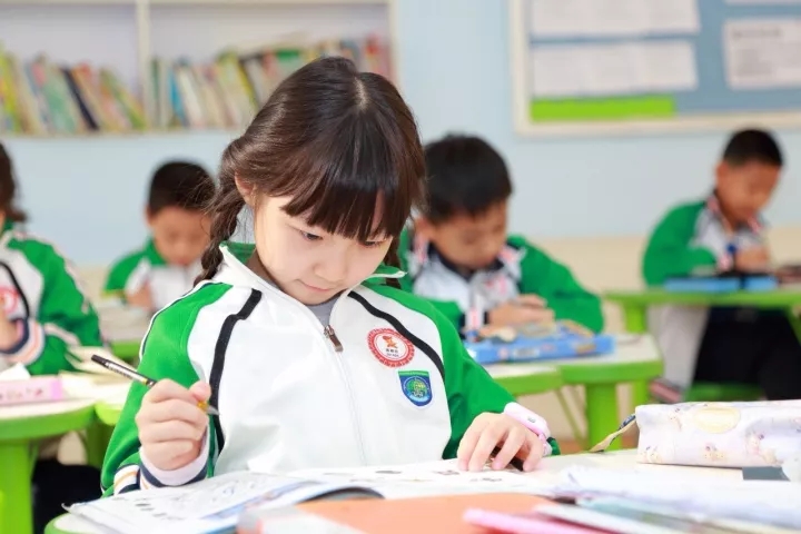 学术类课程