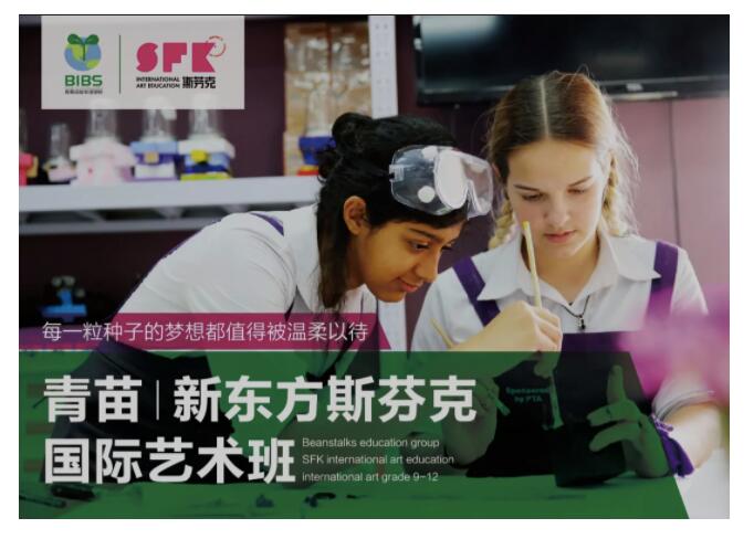 青苗国际双语学校