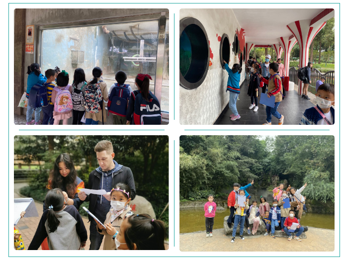 青苗学校