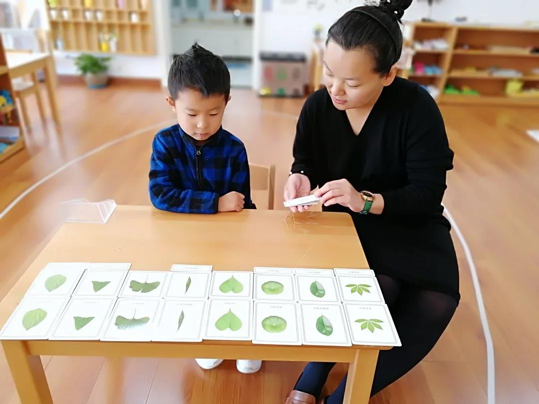 中关村外国语学校