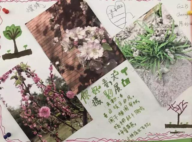 图片_20170505093116_副本.jpg