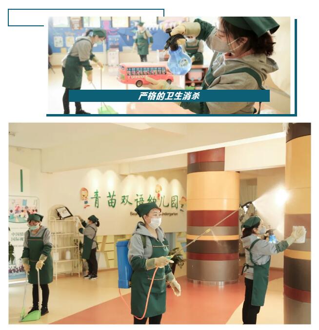 青苗国际双语学校