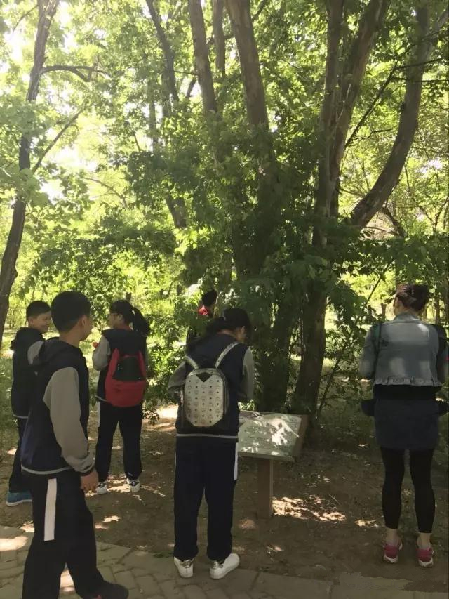 图片_20170510113217_副本.jpg