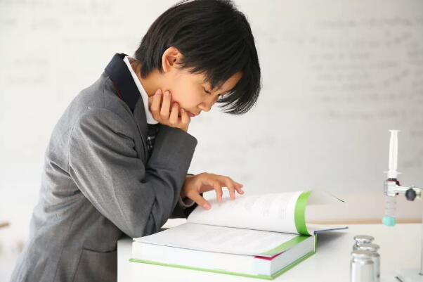 青苗国际双语学校