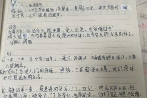 北京中加学校
