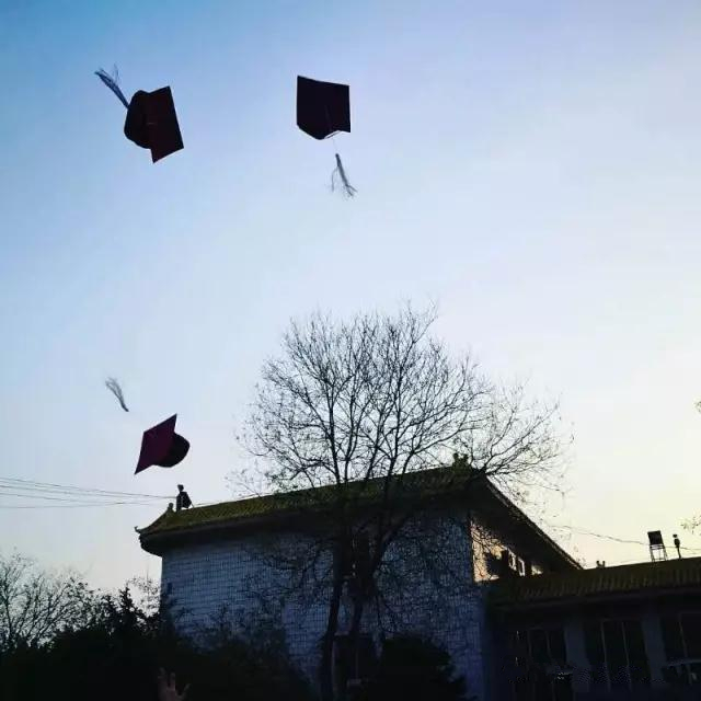 图片_20170523091032_副本.jpg