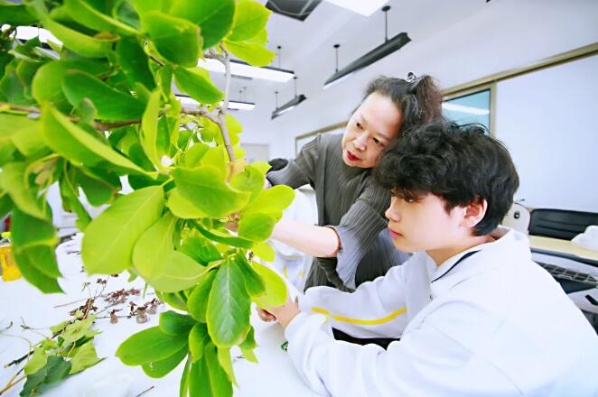 北京爱迪国际学校