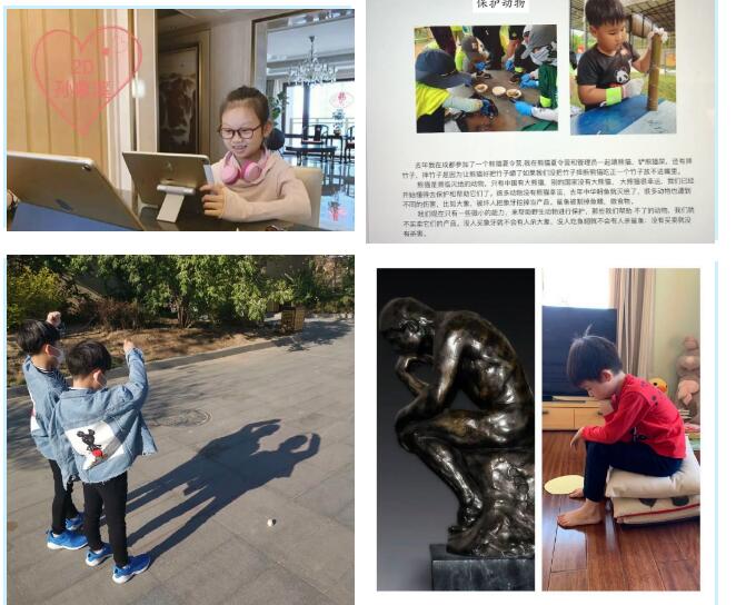 青苗国际双语学校