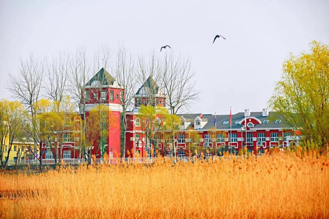爱迪国际学校