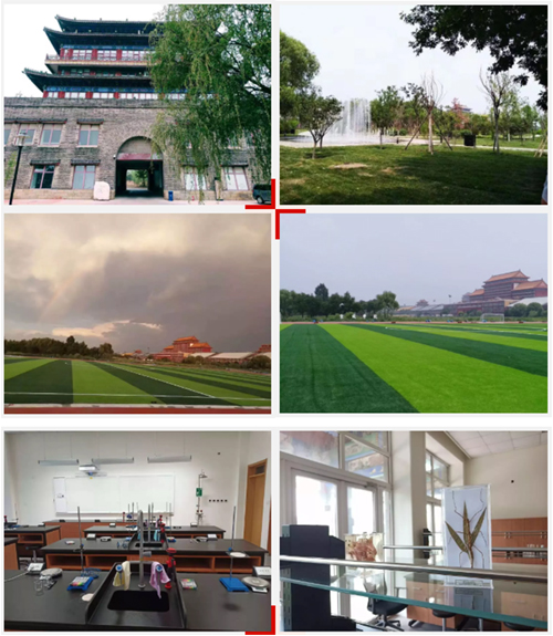 京城学校