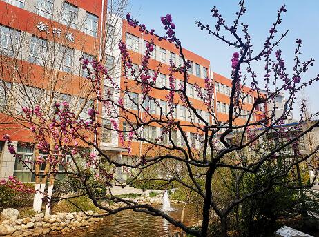 北师大二附中国际部