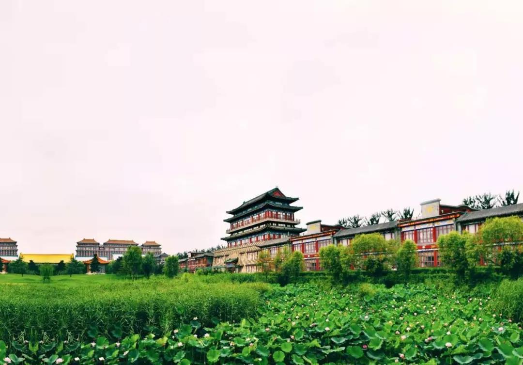 京城学校