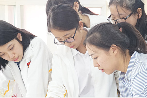 天津大学A-Level国际高中上哪些课程？