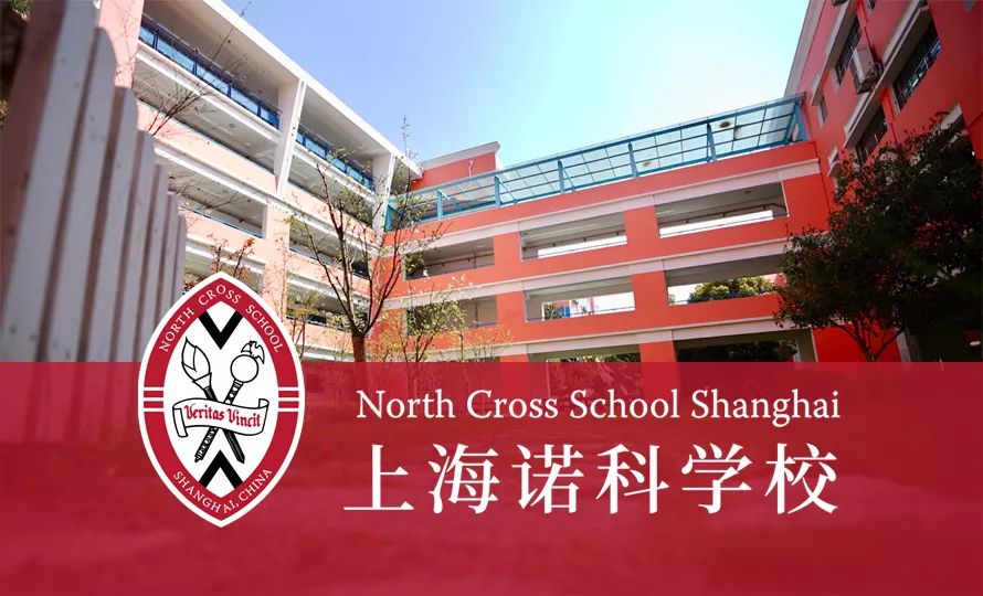 
                    上海诺科学校开设哪些课程？                    