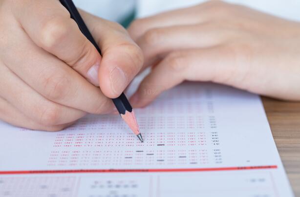 青苗国际双语学校入学考试