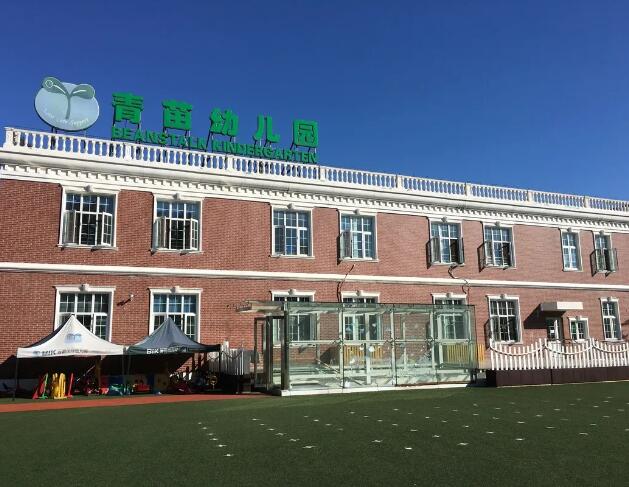 青苗国际幼儿园